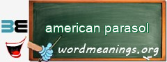 WordMeaning blackboard for american parasol